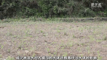 曾經(jīng)被“遺棄”的它們 搬到新家啦！