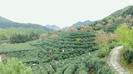 萬象“耕”新！碼住人間四月天