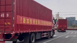 那只“跳進(jìn)”愛心蔬菜包的手機(jī)咋樣啦？請聽刷屏“奇遇”后續(xù)……