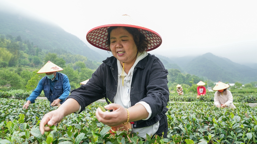 守“綠”換“金”！大別山區(qū)“兩山”實(shí)踐創(chuàng)新基地觀(guān)察