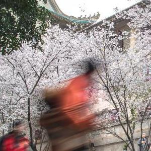 微信分享圖