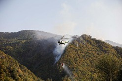 格魯吉亞中部山火肆虐