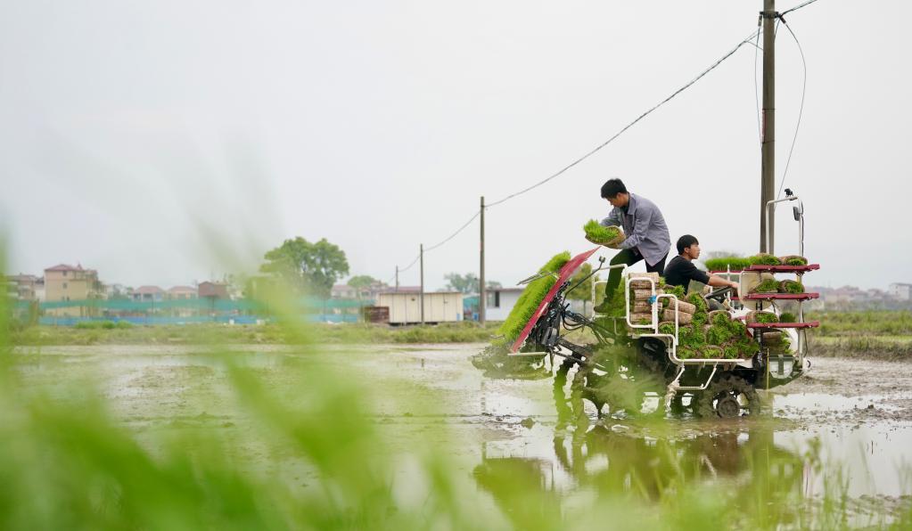 四季中國(guó)——“慧”種田的“黃機(jī)長(zhǎng)”