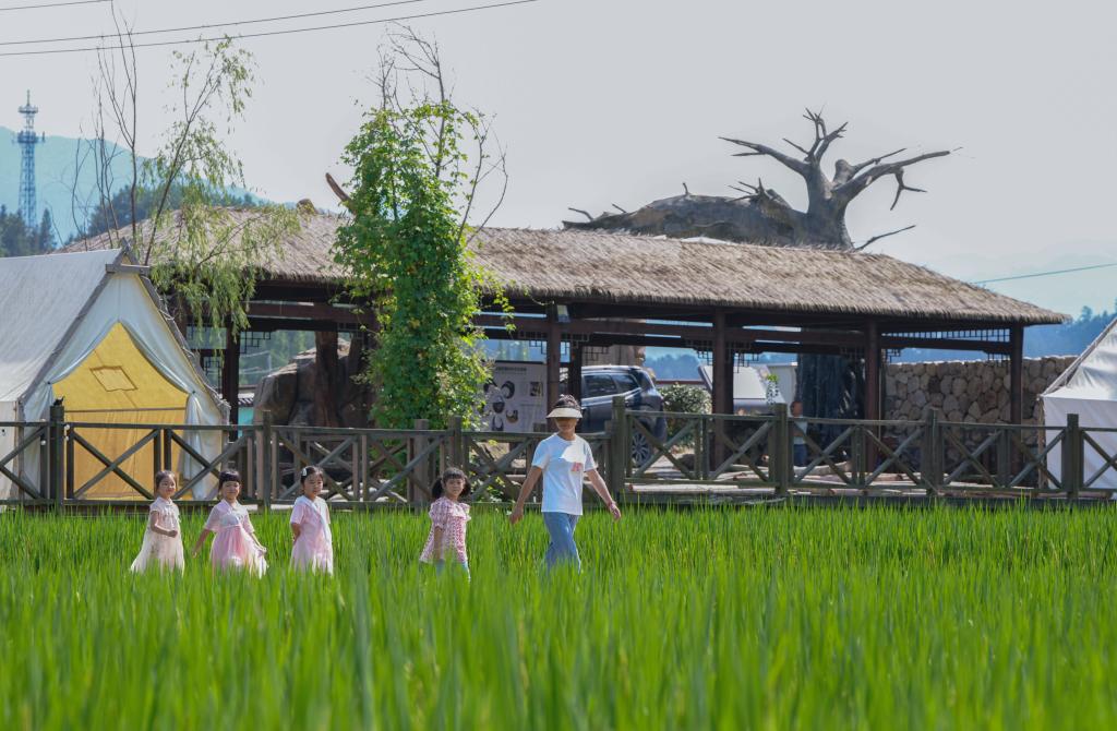 浙江臨安：打造村落景區(qū)助力國家級農(nóng)業(yè)產(chǎn)業(yè)強鎮(zhèn)創(chuàng)建