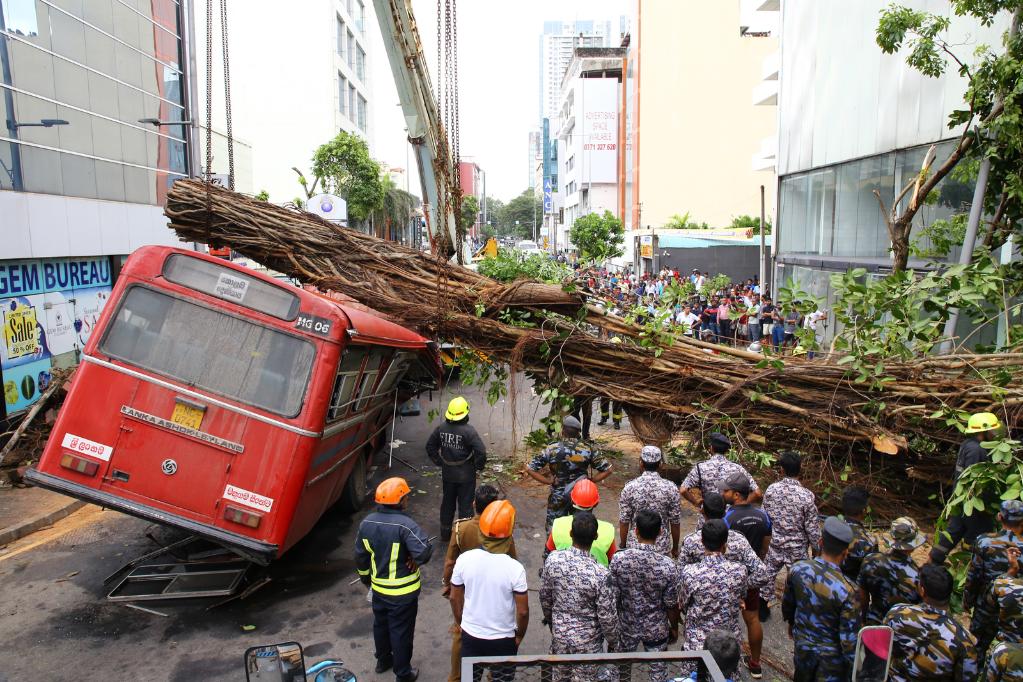 斯里蘭卡一公交車被大樹砸中5人死亡