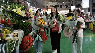 第1視點(diǎn)丨“云花”，事業(yè)興旺生活美