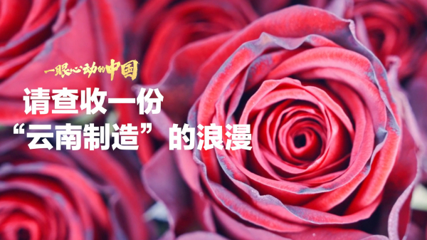 一眼心動(dòng)的中國(guó)丨請(qǐng)查收一份“云南制造”的浪漫