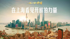 一眼心動的中國丨在上海看見開放的力量
