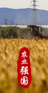 農(nóng)業(yè)強(qiáng)國是社會(huì)主義現(xiàn)代化強(qiáng)國的根基。