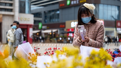 從斗南“花語(yǔ)”聆聽奮進(jìn)足音——“亞洲花都”傳奇