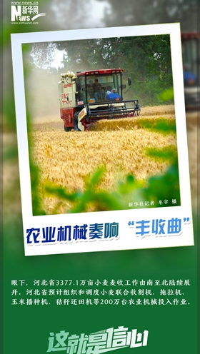 這就是信心｜好一派豐收景象！