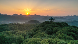 提升生態(tài)碳匯能力，植樹(shù)造林怎么干？