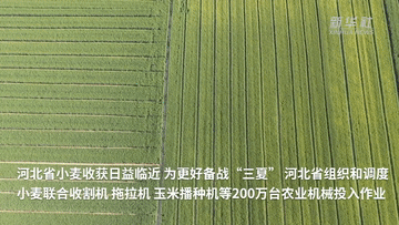 河北200萬臺(tái)農(nóng)業(yè)機(jī)械備戰(zhàn)“三夏”
