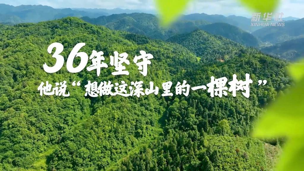36年堅(jiān)守！他說(shuō)“想做這深山里的一棵樹(shù)”
